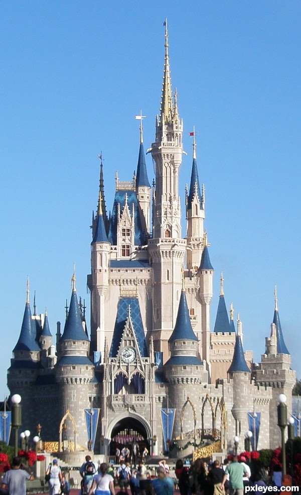 Disney Castle